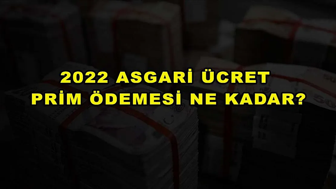 2022 Asgari Ücret Prim Ödemesi Ne Kadar?