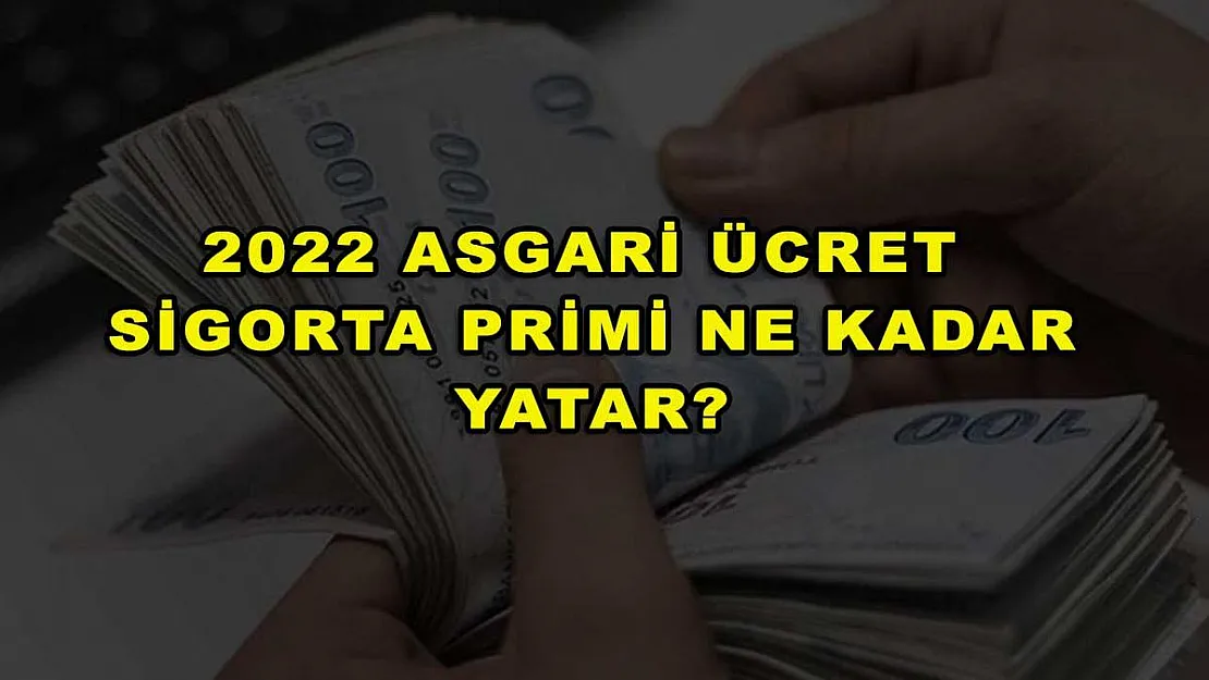 2022 Asgari Ücret Sigorta Primi Ne Kadar Yatar?