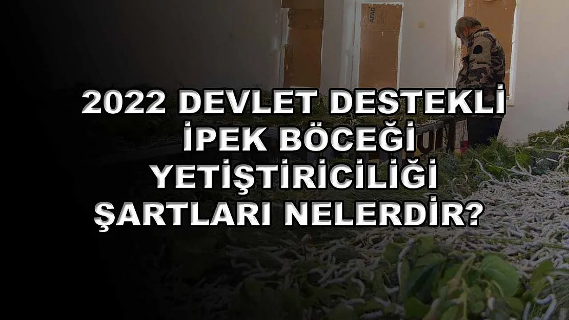 2022 Devlet Destekli İpek Böceği Yetiştiriciliği Şartları Nelerdir?