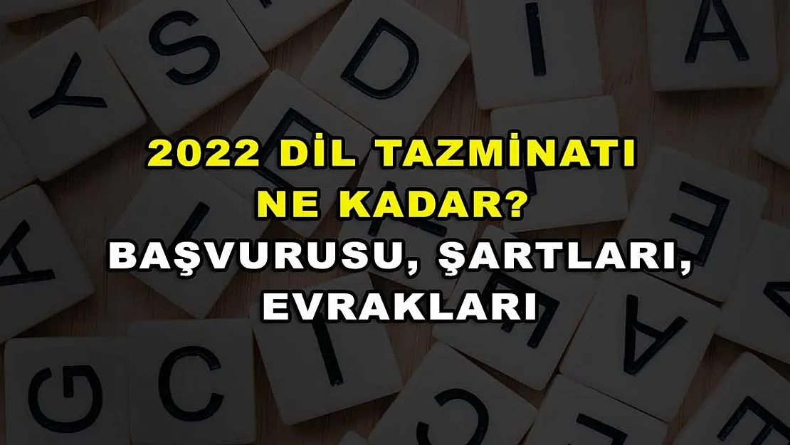 2022 Dil Tazminatı Ne Kadar? Başvurusu, Şartları, Evrakları