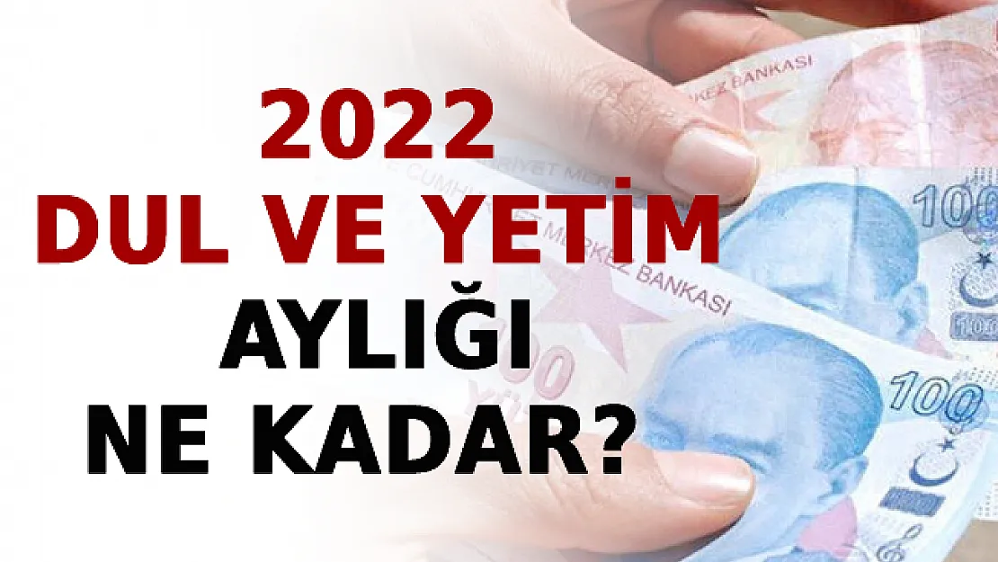 2022 Dul Ve Yetim Aylığı Ne Kadar? İşte Ayrıntıları...