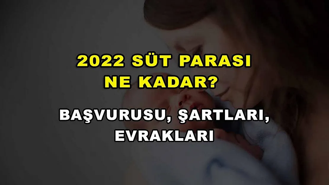 2022 Süt Parası Ne Kadar? Başvurusu, Şartları, Evrakları