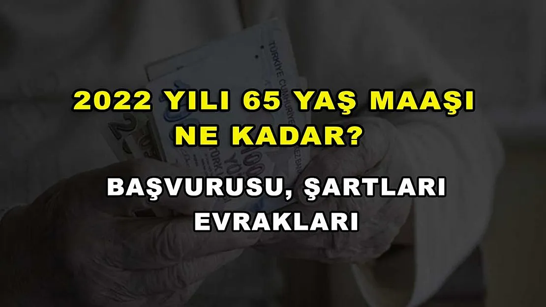 2022 Yılı 65 Yaş Maaşı Ne Kadar? Başvurusu, Şartları Evrakları