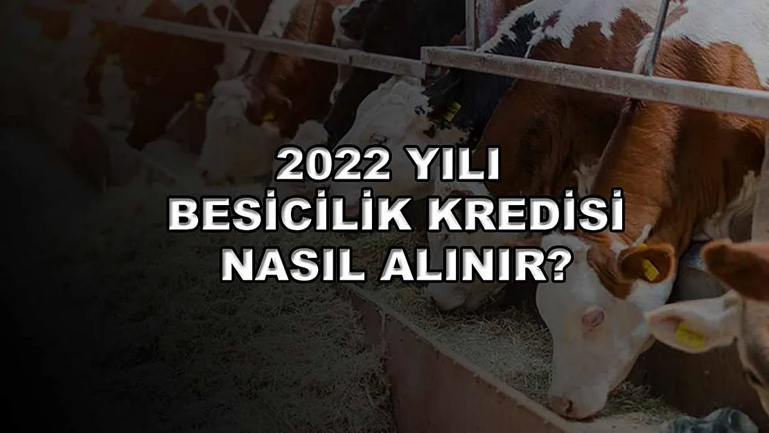 2022 Yılı Besicilik Kredisi Nasıl Alınır?