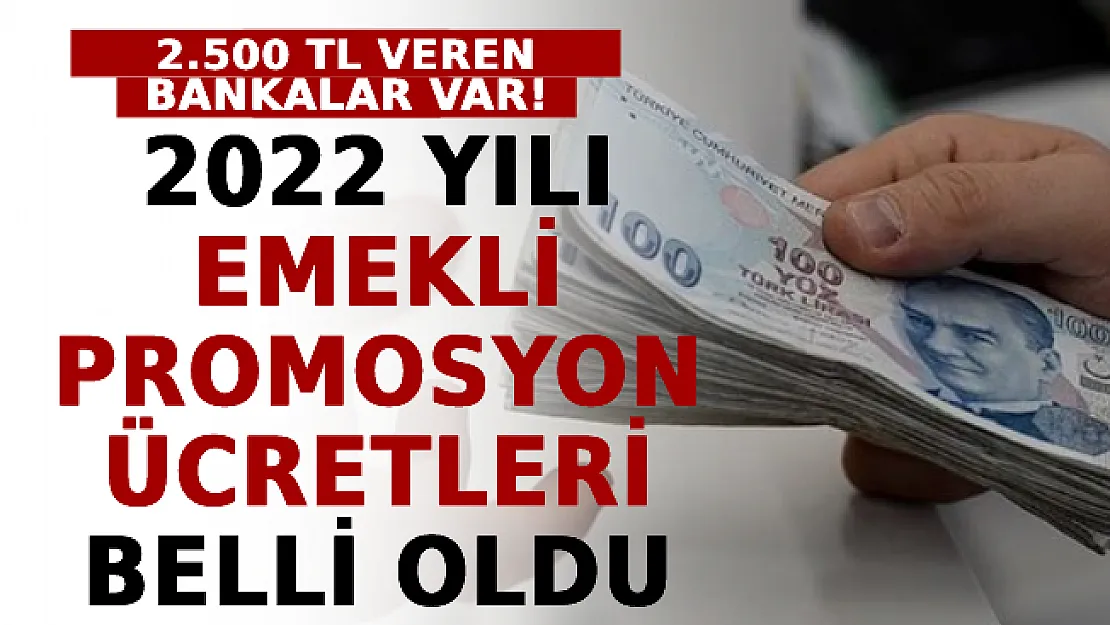 2022 Yılı Emekli Promosyon Ücretleri Belli Oldu: 2.500 TL Veren Bankalar Var!