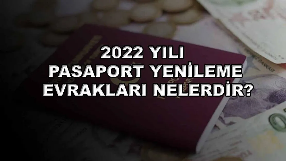2022 Yılı Pasaport Yenileme Evrakları Nelerdir?