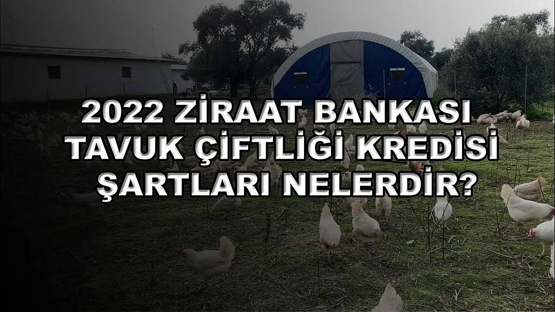 2022 Ziraat Bankası Tavuk Çiftliği Kredisi Şartları Nelerdir?