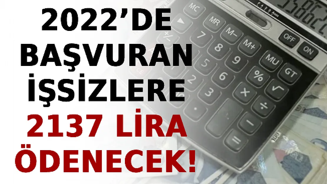 2022'de Başvuran İşsizlere 2137 Lira Ödenecek!