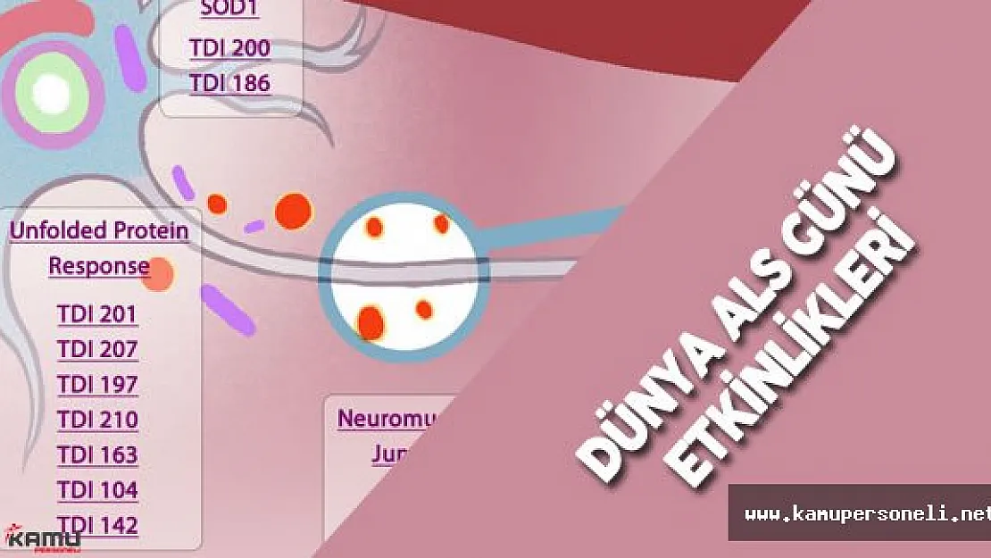 21 Haziran Dünya ALS Günü Etkinliği