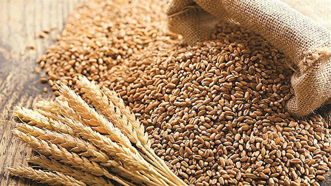 22 Temmuz'da anlaşma sağlanmıştı: Ekmek, un, makarna fiyatlarını etkileyecek!
