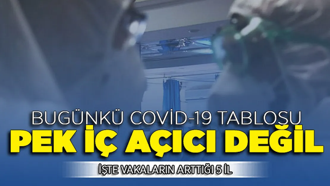 23 Temmuz Corona Virüsü Vaka Sayısı Düne Göre Yükseldi ! İşte Vakaların Arttığı İller