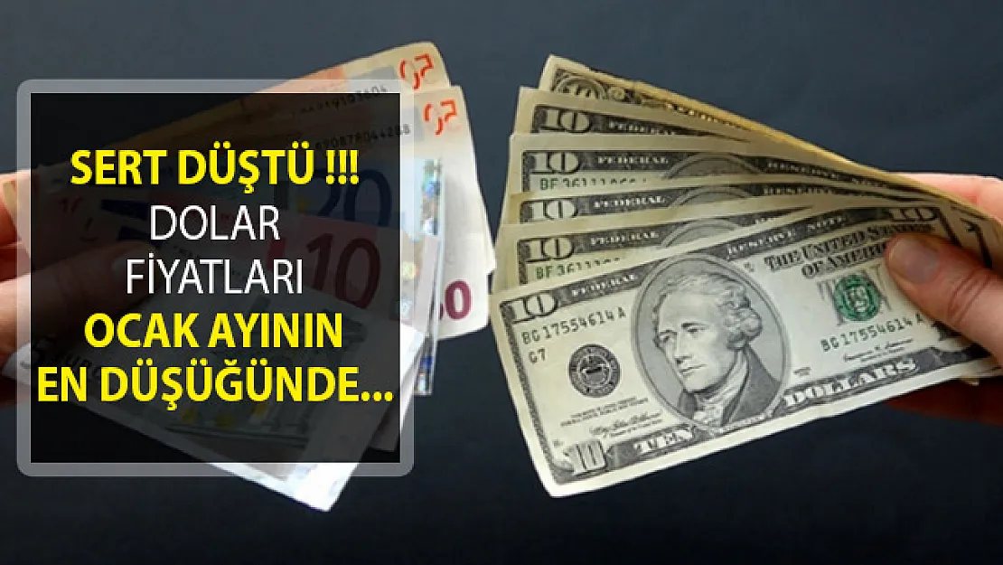 24 Ocak 2019 Güncel Dolar ve Euro Fiyatları! Döviz Kurunda Son Durum