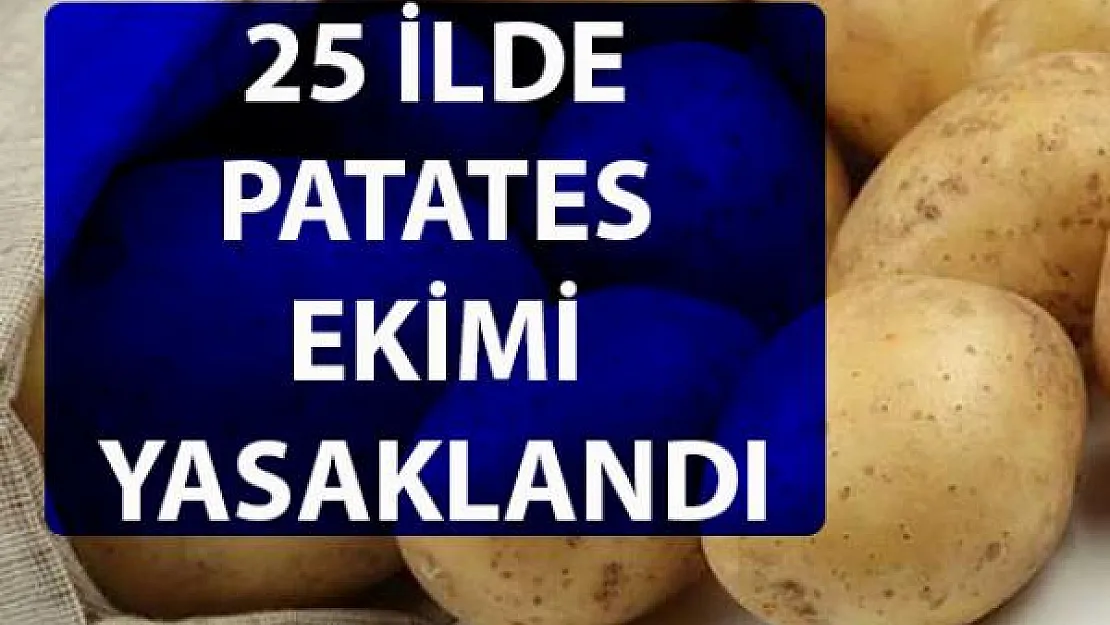 25 ilde patates üretimi neden yasaklandı?