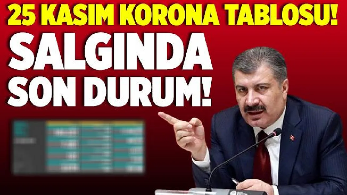 25 Kasım korona tablosu! Salgında bugün kaç kişi hayatını kaybetti, kaç yeni vaka tespit edildi?