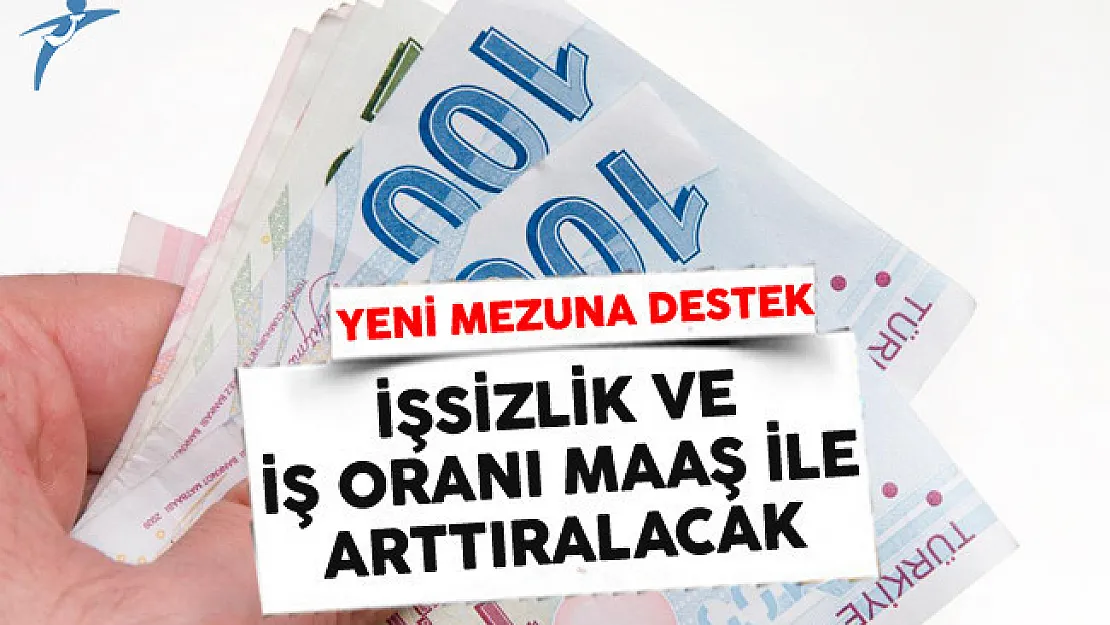 280 Bin Yeni Mezuna Maaş Desteği Devletten