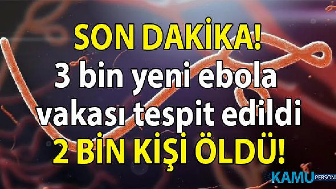 3 bin yeni ebola vakası tespit edildi! Ebola Virüsü'nden ölen kişi sayısı 2 bine yükseldi