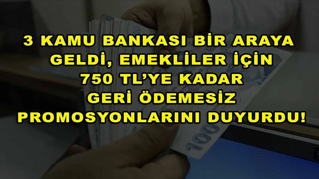 3 kamu bankası bir araya geldi, emekliler için 750 TL'ye kadar geri ödemesiz promosyonlarını duyurdu!