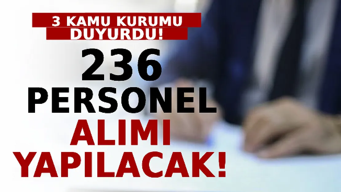 3 Kamu Kurumu Duyurdu! 236 Personel Alımı Yapacak!