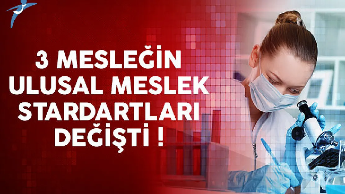 3 mesleğin ulusal meslek stardartları değişti