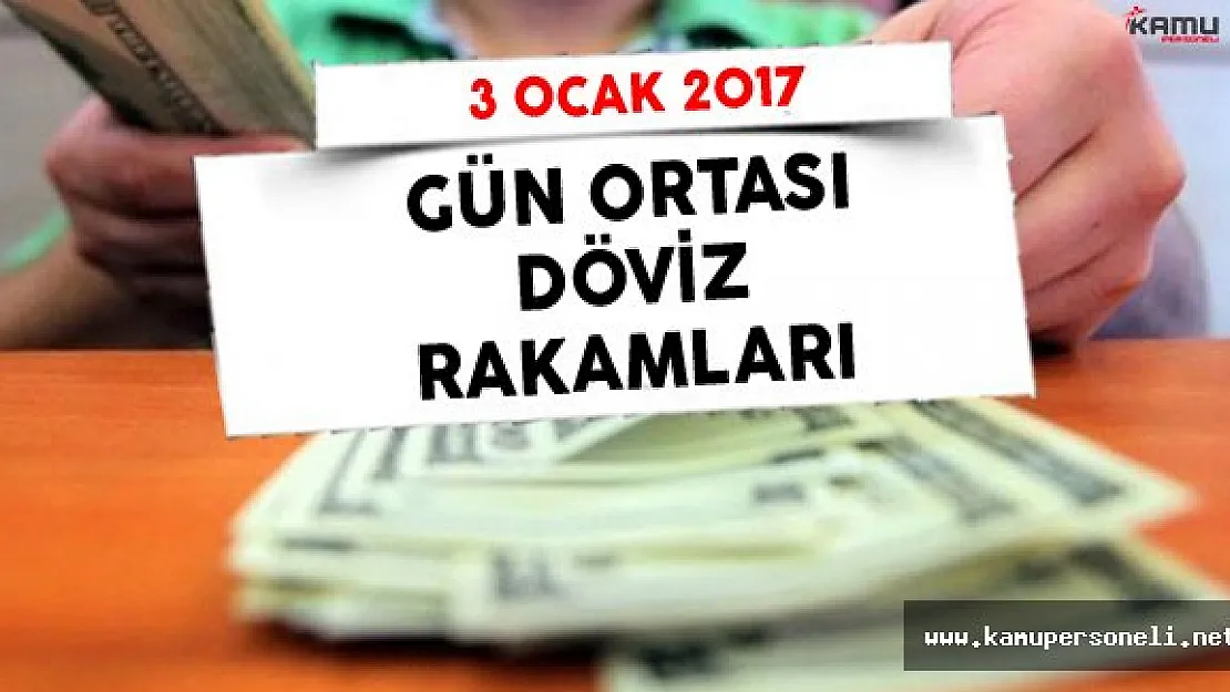 3 Ocak 2017 Gün Ortası Döviz Rakamları
