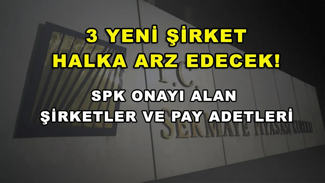 3 yeni şirket halka arz edecek! SPK onayı alan şirketler ve pay adetleri