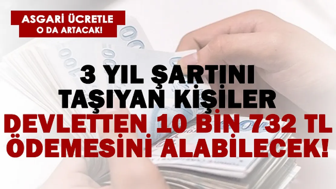3 yıl şartını taşıyan devletten 10 bin 732 TL ödemesini alacak! Asgari ücretle daha da artacak!