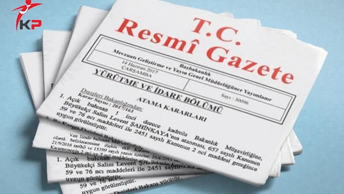 3 Yıllık Ekonomi Programı Resmi Gazete'de Yayımlandı!