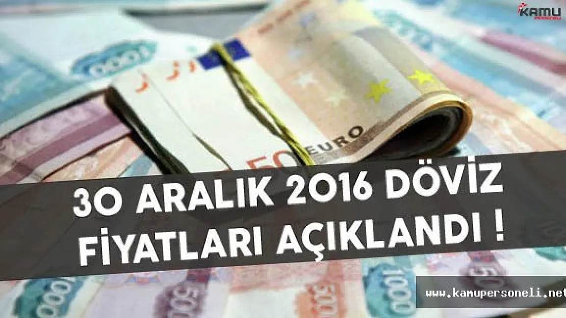 30 Aralık 2016 Döviz Rakamları Açıklandı