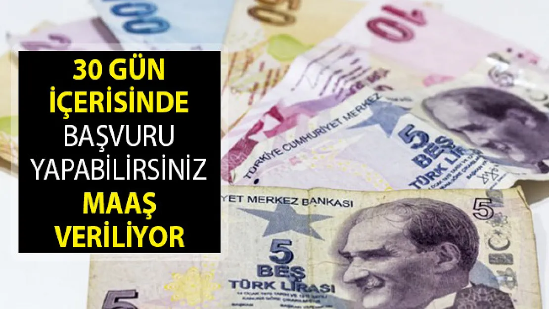 30 Gün İçerisinde Başvuru Yapabilirsiniz! Maaş Veriliyor