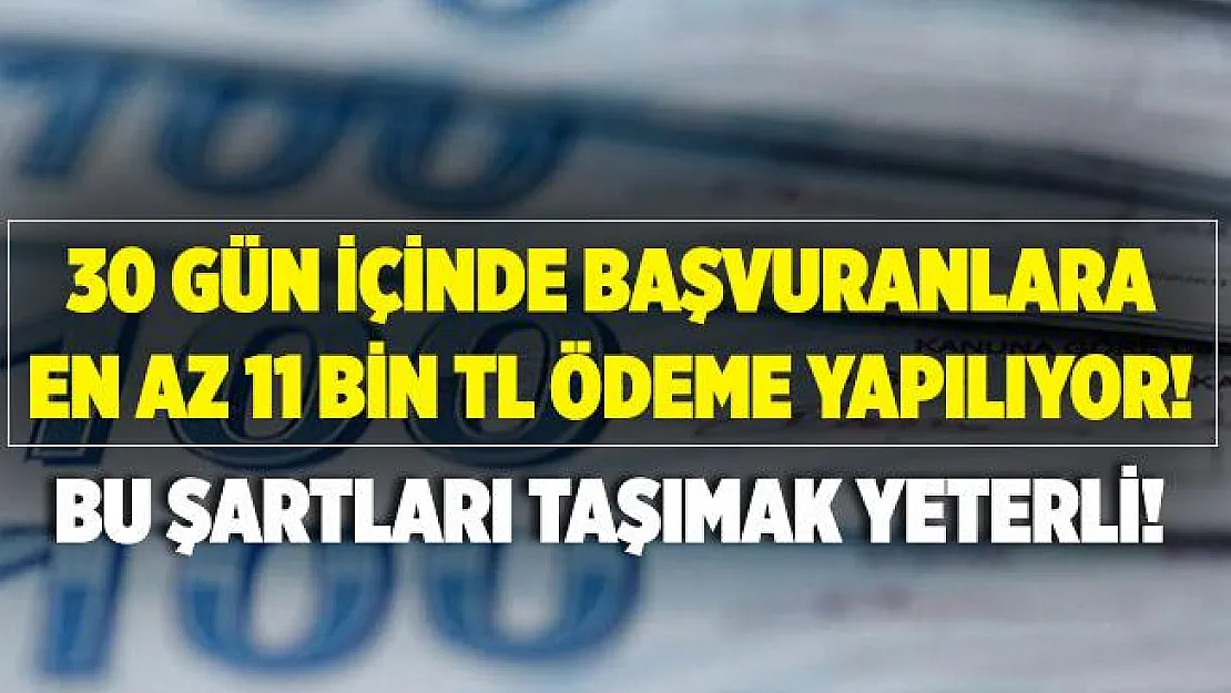 30 gün içinde başvuranlara en az 11 bin TL ödeme yapılıyor! Bu şartları taşımak yeterli!