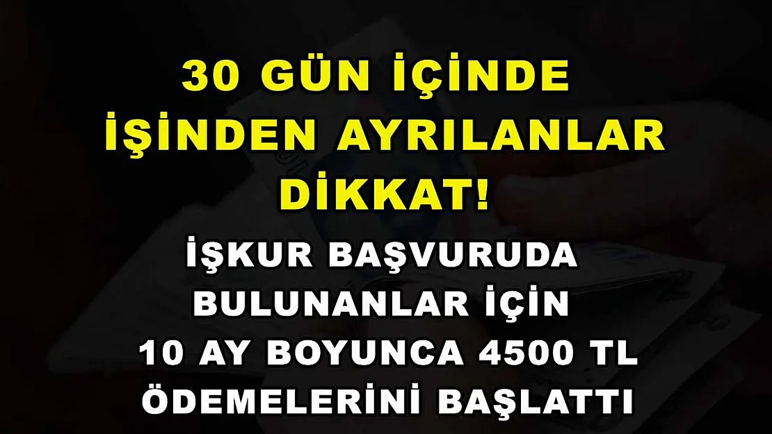 30 gün içinde işinden ayrılanlar dikkat! İŞKUR başvuruda bulunanlar için 10 ay boyunca 4500 TL ödemelerini başlattı