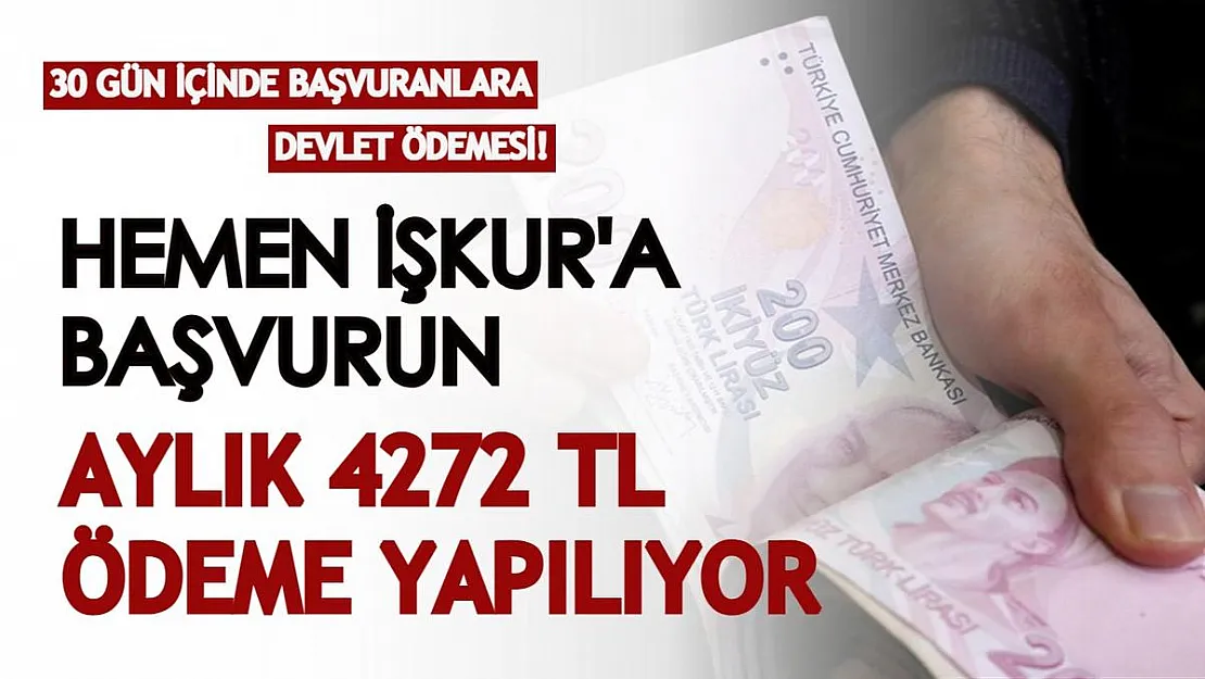 30 gün içinde İŞKUR'a başvuranlara en az 2137, en çok 4272 TL ödenecek! Devletten her ay ödeme müjdesi duyuruldu