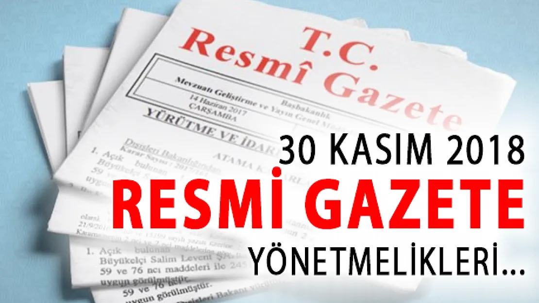 30 Kasım 2018 Resmi Gazete Yönetmelikleri