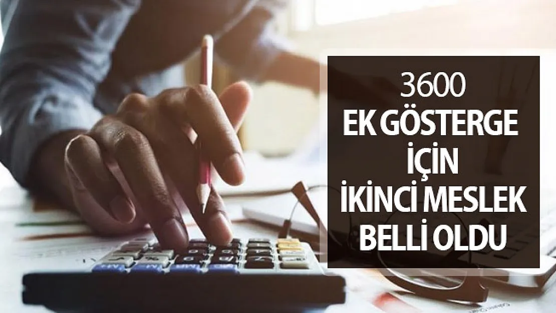 3600 Ek Gösterge Verilecek Olan İkinci Meslek Belli Oldu