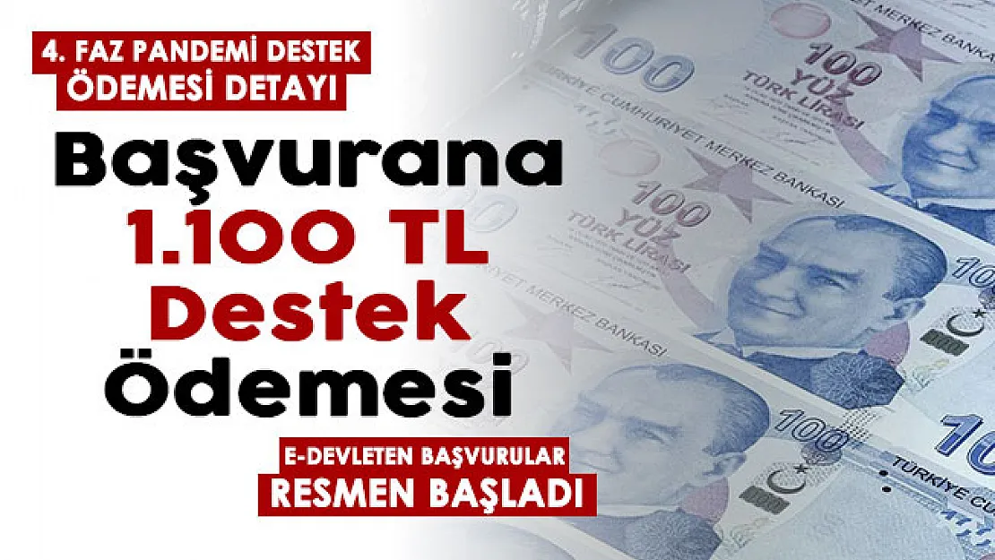 4. faz pandemi destek ödemesi! e-Devletten başvurana 1.100 TL para veriliyor: İşte başvuru formu