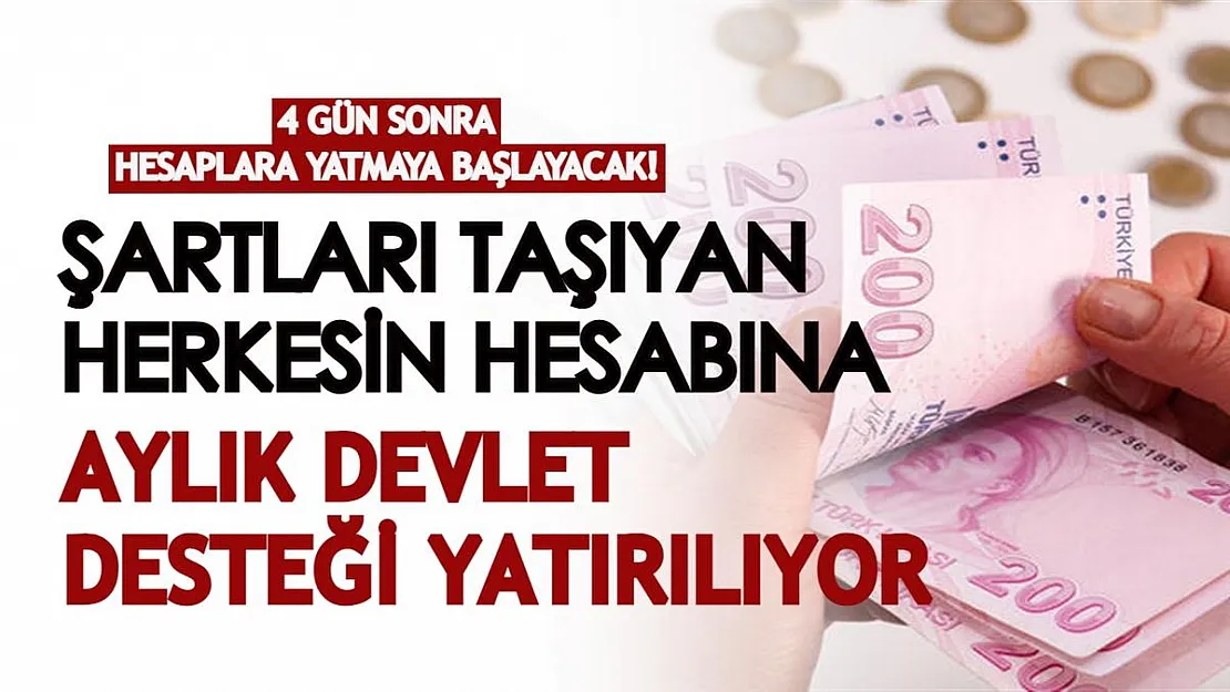 4 gün sonra hesaplara yatmaya başlayacak! Şartları taşıyan herkesin hesabına aylık devlet desteği yatırılıyor!
