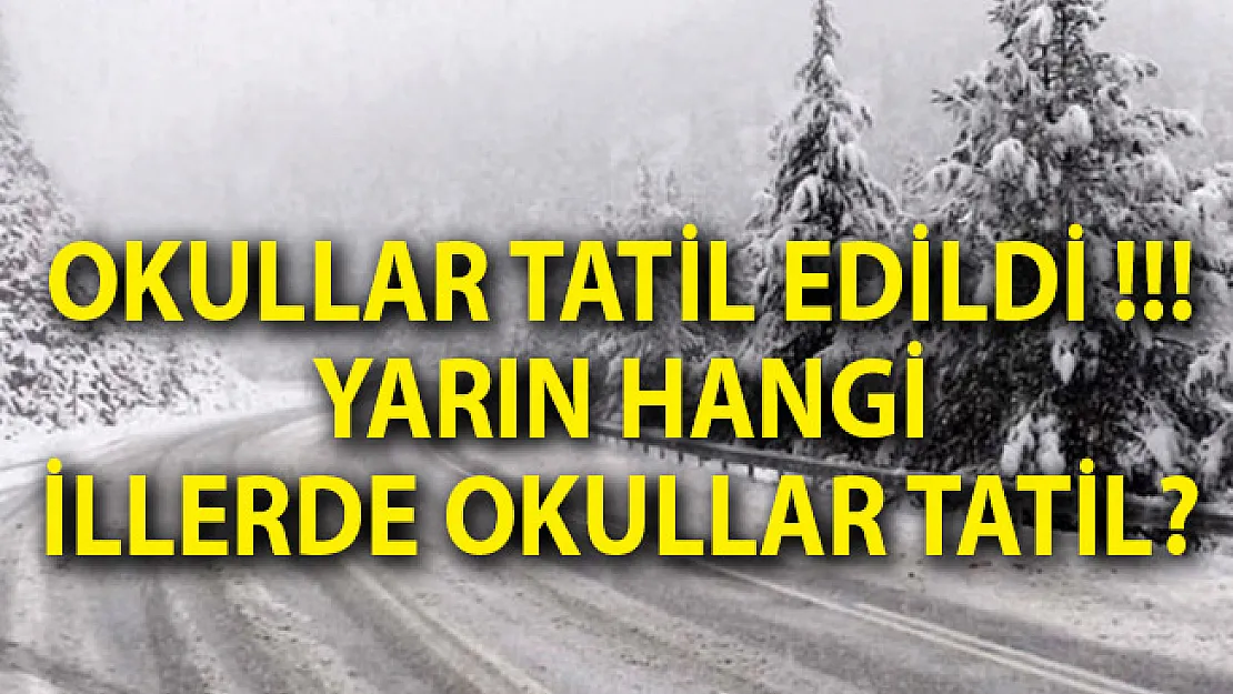 4 Ocak 2019 Okullar Tatil Edildi! Yarın Hangi İller Tatil? Kar Tatili