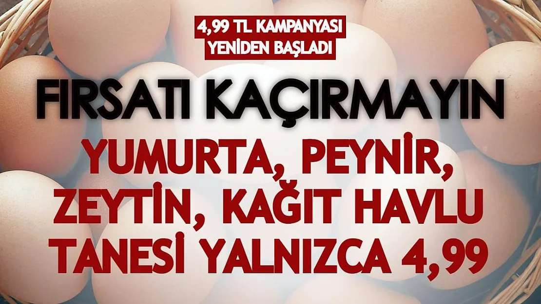 4,99 TL kampanyası yeniden başladı! Yumurta, peynir, zeytin, kağıt havlu tanesi yalnızca 4,99 TL'ye satışta!