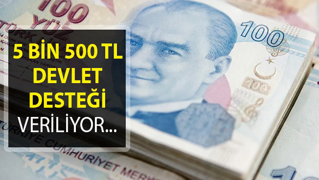 5 Bin 500 TL Devlet Desteği Veriliyor! İşte Detaylar