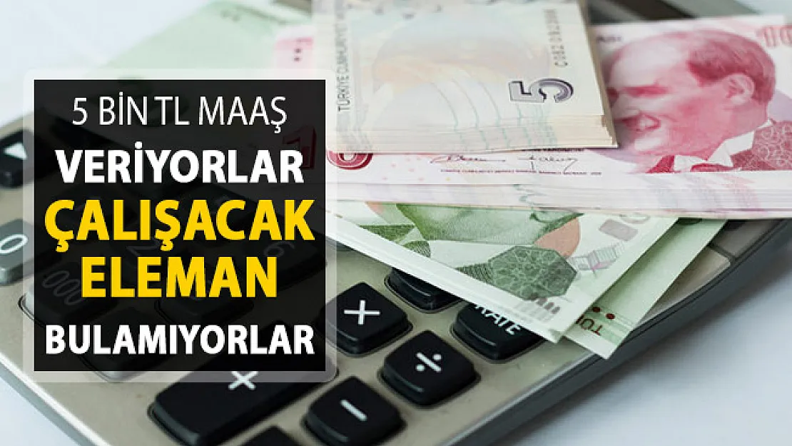 5 Bin TL Maaş Veriyorlar: Personel Bulamıyorlar