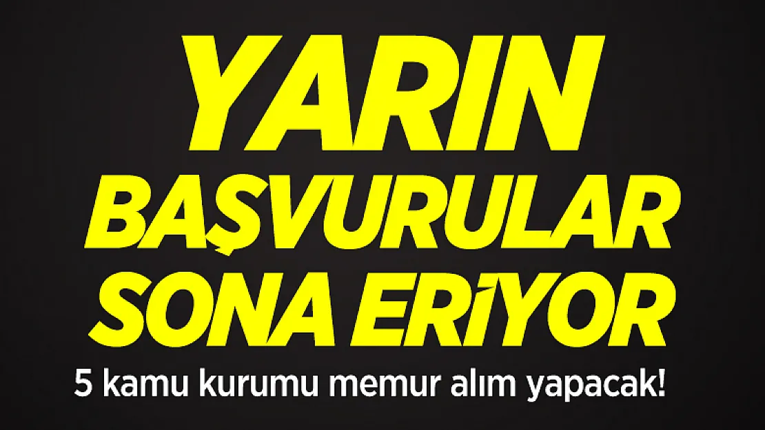 5 kamu kurumu düz memur alım yapacak! 12 Şubat tarihinde başvurular sona eriyor