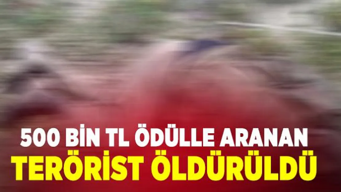 500 bin TL ödülle aranan terörist öldürüldü