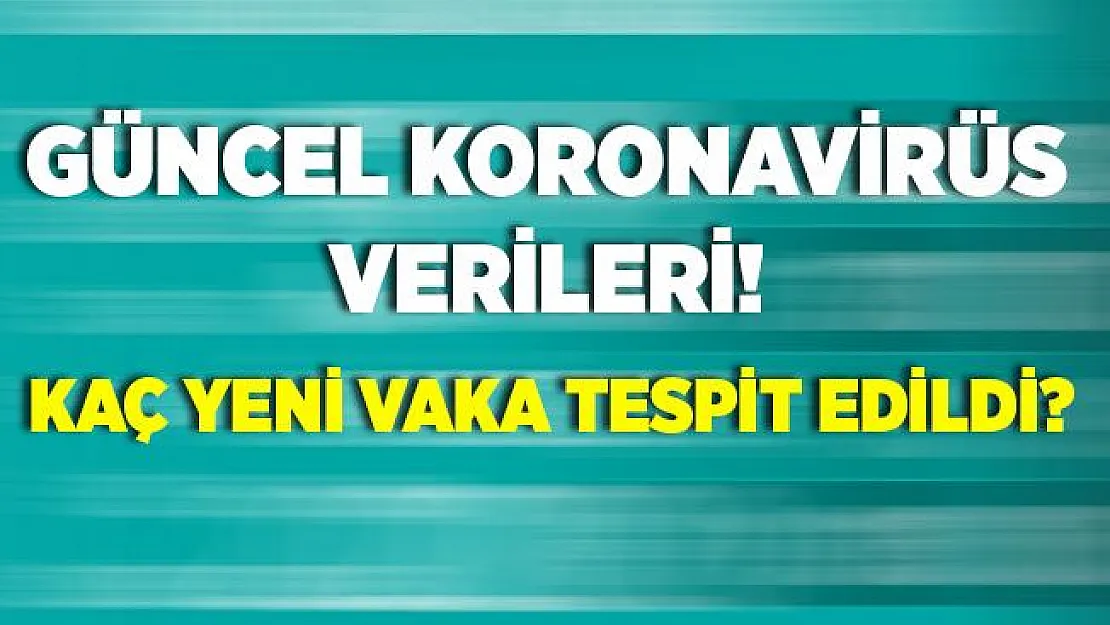 6 Ağustos koronavirüs verileri! Türkiye'de son durum nasıl? Kaç yeni vaka tespit edildi?