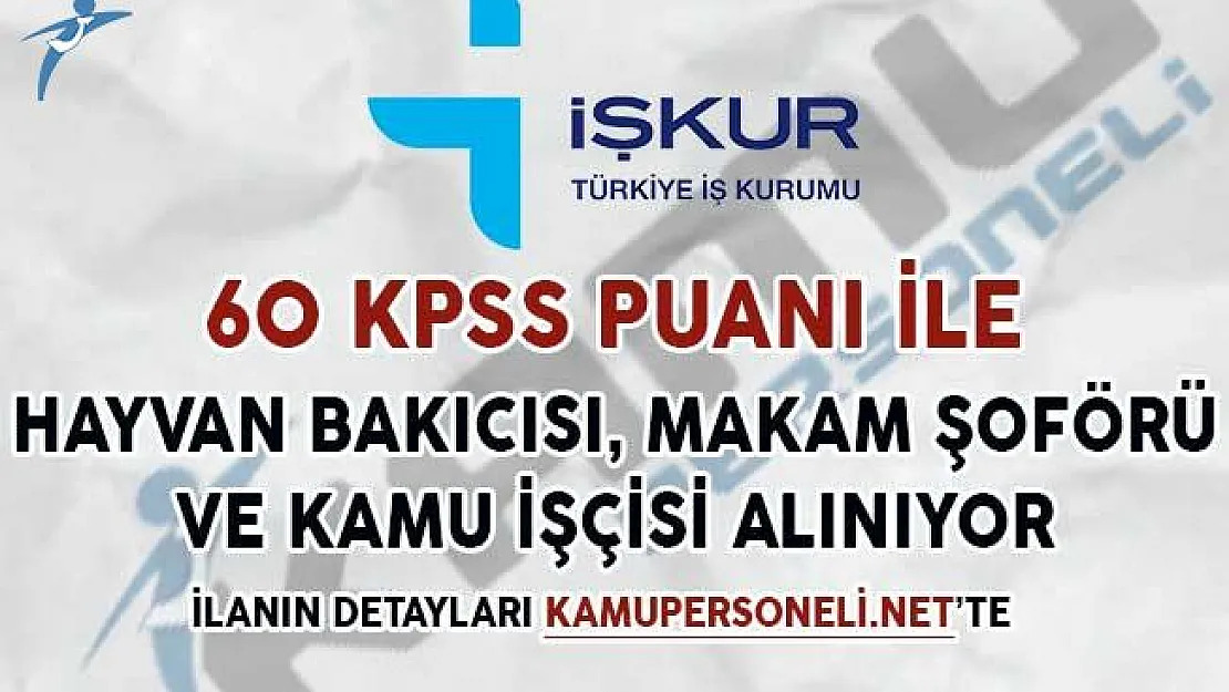 60 KPSS İle Hayvan Bakıcısı, Makam Şoförü ve Kamu İşçisi Alım İlanı Yayımladı