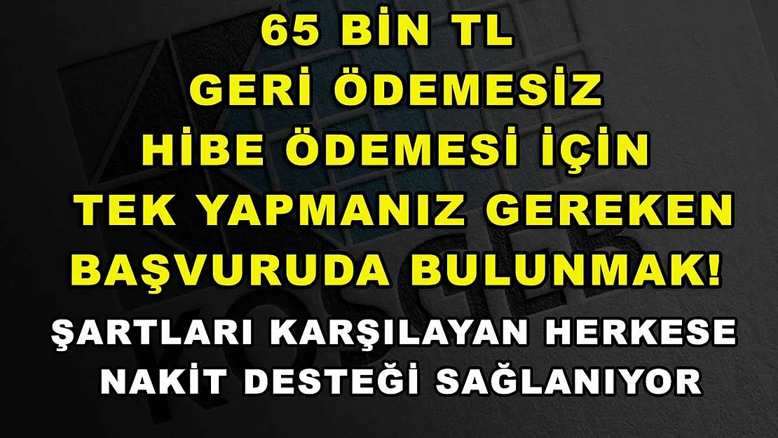 65 bin TL geri ödemesiz hibe ödemesi için tek yapmanız gereken başvuruda bulunmak! Şartları karşılayan herkese nakit desteği sağlanıyor