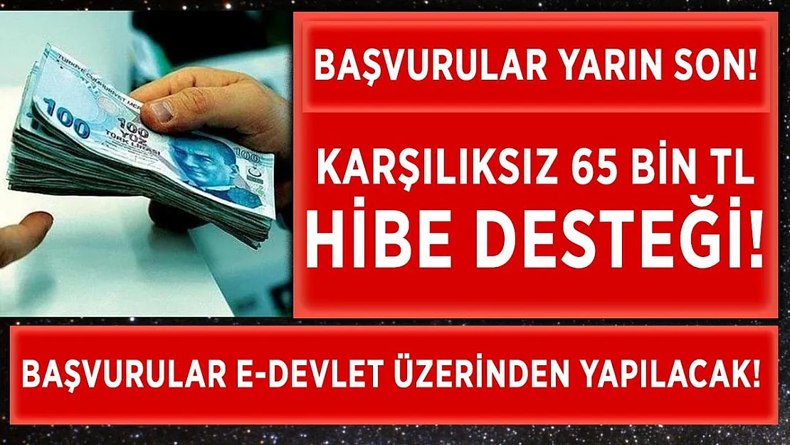 65 Bin TL hibe veriliyor! Başvurular yarın E-Devlet üzerinden sona eriyor!