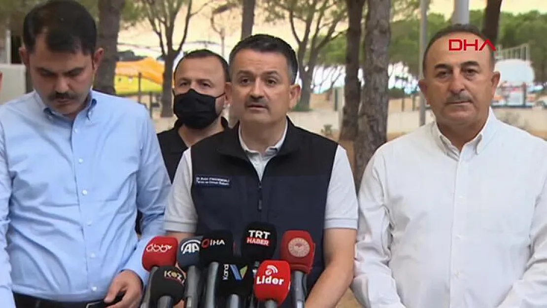 8 ilde orman yangını! Bakan Pakdemirli'den orman yangınlarının sebebi ile ilgili açıklama!