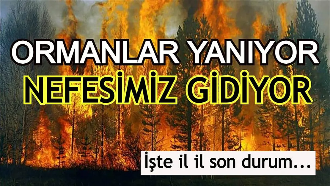 9 bölgede yangınla mücadele sürüyor! İşte il il orman yangınlarında son durum