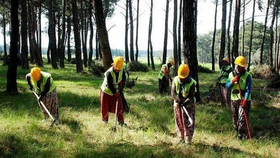 900 Kişilik TYP Personel Alımı İçin Rekor Sayıda Başvuru Yapıldı !