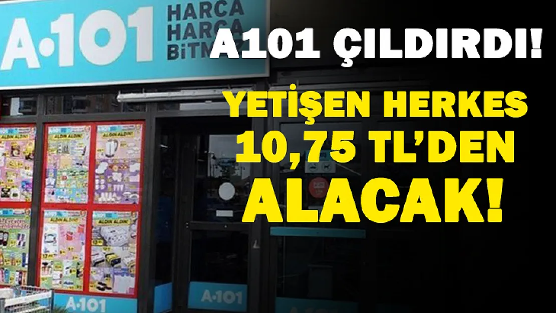 A101 büyük indirim başladı! Yetişen sadece 10,75 TL'den alıyor!